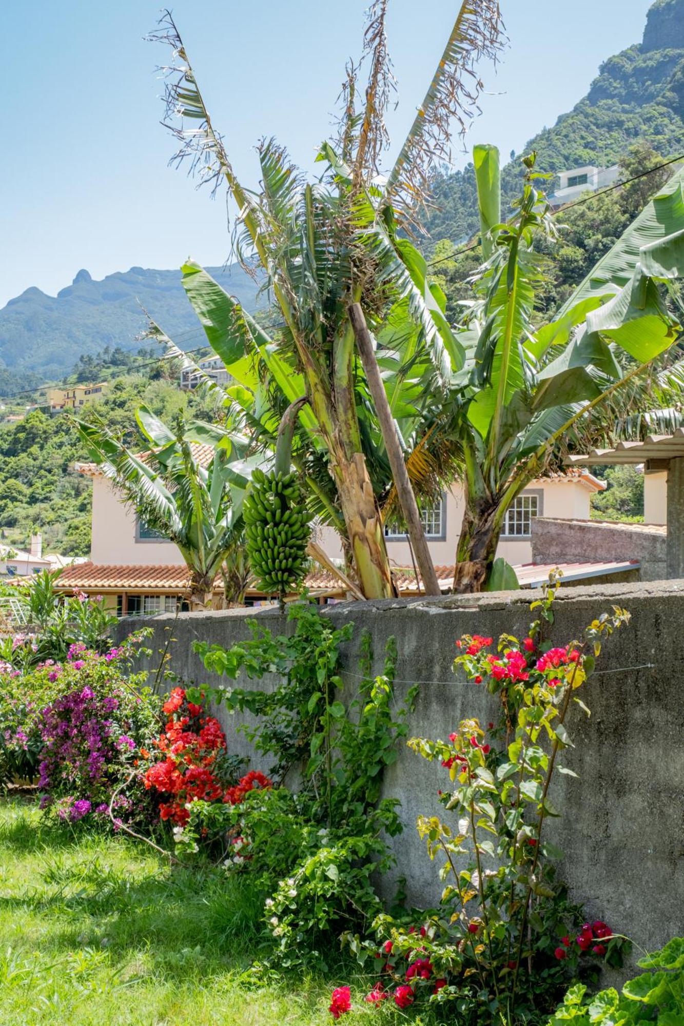 Sao Vicente Guest House 外观 照片