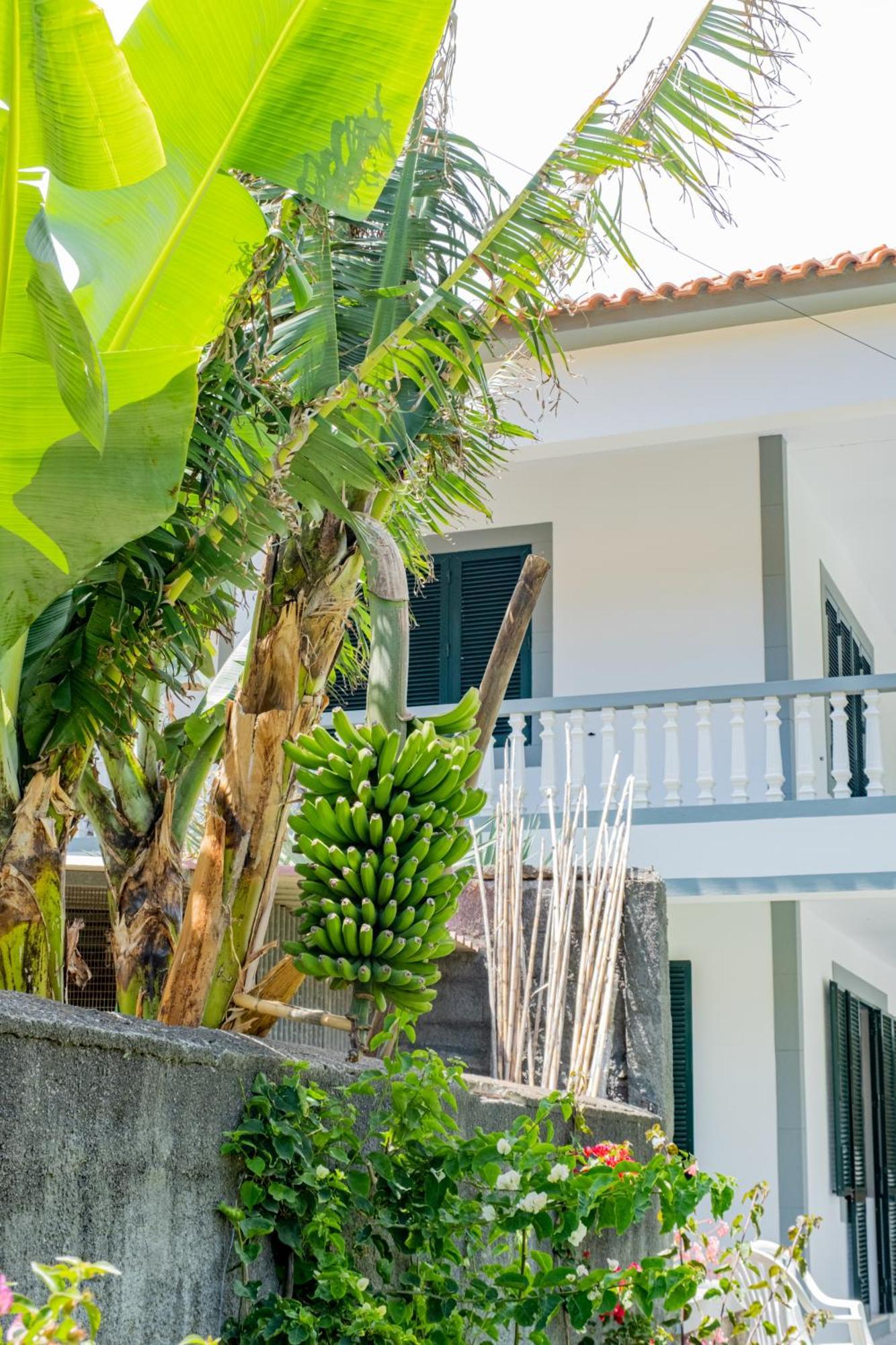 Sao Vicente Guest House 外观 照片